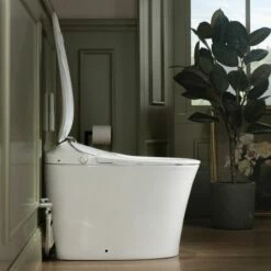WOODBRIDGE LT610 One Piece Elongated Smart Toilet Bidet With Massage Washing, Auto Open And Close Seat And Lid, Auto Flush, Heated Seat And Integrated Multi Function Remote Control, White -Woodbridgebath Shop 20221011153618W5OMVZV1 thumb 600x600