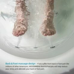 WOODBRIDGE 67" X 32" Whirlpool Water Jetted And Air Bubble Freestanding Bathtub, B-0030 / BTS1606 -Woodbridgebath Shop 20221024150756W5OMVZV1 thumb 600x600