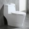 WOODBRIDGE T-0019, Dual Flush Elongated One Piece Toilet With Soft Closing Seat, Chair Height, Water Sense, High-Efficiency, T-0019 Rectangle Button -Woodbridgebath Shop 5ddf70e4c5564 thumb 600x600