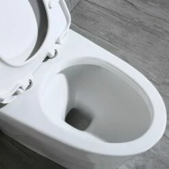 WOODBRIDGE T-0019, Dual Flush Elongated One Piece Toilet With Soft Closing Seat, Chair Height, Water Sense, High-Efficiency, T-0019 Rectangle Button -Woodbridgebath Shop 5ddf711a968c1 thumb 600x600