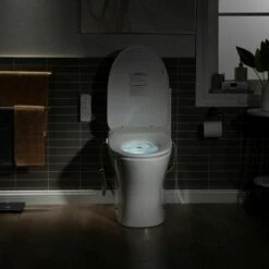 WOODBRIDGE T-0044 One Piece 1.1GPF/1.6 GPF Dual Flush Elongated Toilet With Advance Smart Bidet Bidet In White -Woodbridgebath Shop 5f6d58b0070ee thumb 600x600