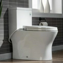 WOODBRIDGE T-0045 Modern One Piece Elongated High Effiency Toilet With Manual Operated Soft-Closed Toilet Seat, White
