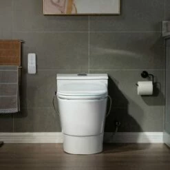 WOODBRIDGE T-0047 One Piece 1.1GPF/1.6 GPF Dual Flush Elongated Toilet With Advance Smart Bidet Toilet In White