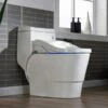 WOODBRIDGEE T-0008 Luxury Bidet Toilet, Elongated One Piece Toilet With Advanced Bidet Seat, Chair Height, Smart Toilet Seat With Temperature Controlled Wash Functions And Air Dryer -Woodbridgebath Shop 5fa10e414a316 thumb 600x600