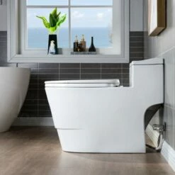 WOODBRIDGE T-0018/B-0735 Dual Flush Elongated One Piece Soft Closing Seat, Comfort Height, White T-0018/B0735, Modern Toilet -Woodbridgebath Shop 5fc06d740dbfc thumb 600x600