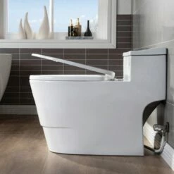WOODBRIDGE T-0018/B-0735 Dual Flush Elongated One Piece Soft Closing Seat, Comfort Height, White T-0018/B0735, Modern Toilet -Woodbridgebath Shop 5fc06d95e56f7 thumb 600x600