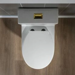 WOODBRIDGE One Piece Short Compact Bathroom Tiny Mini Commode Water Closet Dual Flush Concealed Trapway, Brushed Gold Button B0500-BG, White -Woodbridgebath Shop 60810858663fa thumb 600x600