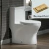 WOODBRIDGE One Piece Short Compact Bathroom Tiny Mini Commode Water Closet Dual Flush Concealed Trapway, Brushed Gold Button B0500-BG, White -Woodbridgebath Shop 6081086b8979a thumb 600x600
