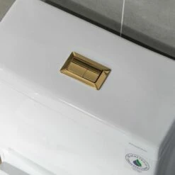 WOODBRIDGE Modern Square Design One Piece Dual Flush 1.28 GP Toilet,Chair Height With Soft Closing Seat, Brushed Gold Button B0920-BG, White -Woodbridgebath Shop 60823256b3d35 thumb 600x600