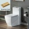 WOODBRIDGE Modern Square Design One Piece Dual Flush 1.28 GP Toilet,Chair Height With Soft Closing Seat, Brushed Gold Button B0920-BG, White -Woodbridgebath Shop 60823264dfb4c thumb 600x600